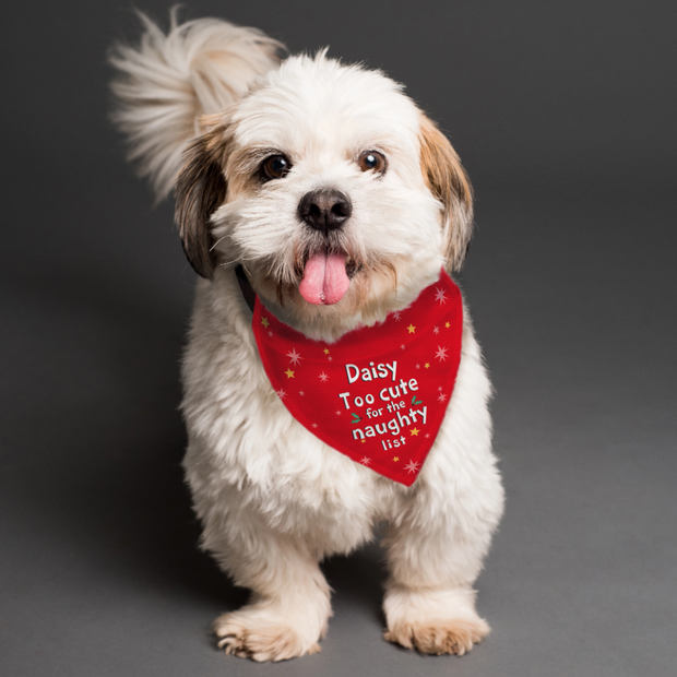 Personalized Dog Bandana, New Christmas Pet Gift!